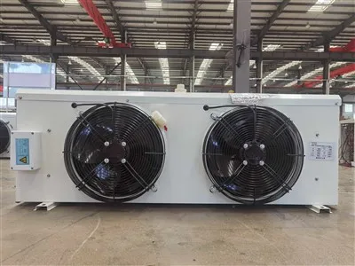 20㎡ کولڈ اسٹوریج روم کے لیے پائیدار 3400W DJ20 ایئر کولر